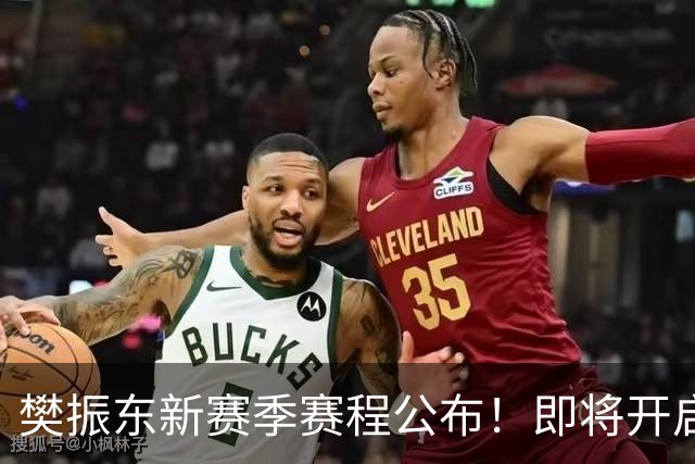 樊振东新赛季赛程公布！即将开启杜塞球员生涯，出战德甲德国杯欧冠联赛